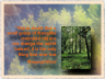 "Never doubt that a small group of committed citizens can change the world...." Margaret Mead Ecard