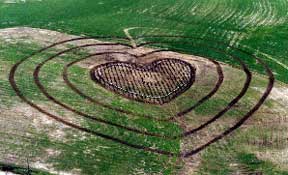 1990 aerial family photo